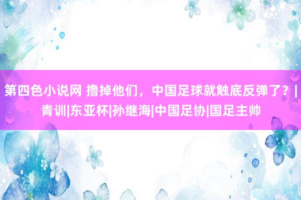 第四色小说网 撸掉他们，中国足球就触底反弹了？|青训|东亚杯|孙继海|中国足协|国足主帅