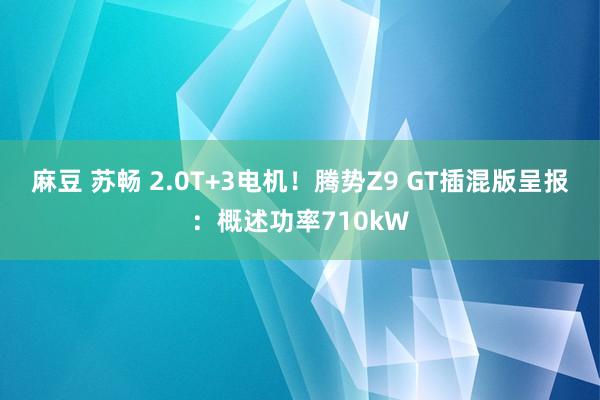 麻豆 苏畅 2.0T+3电机！腾势Z9 GT插混版呈报：概述功率710kW