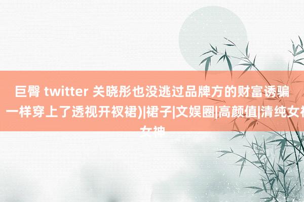 巨臀 twitter 关晓彤也没逃过品牌方的财富诱骗，一样穿上了透视开衩裙)|裙子|文娱圈|高颜值|清纯女神